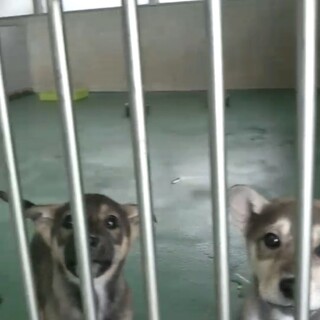 ありがとうございました。