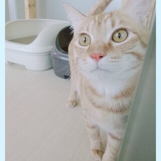 ベタベタの甘えん坊「てぃってぃ」♪