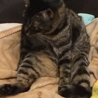 スカイ