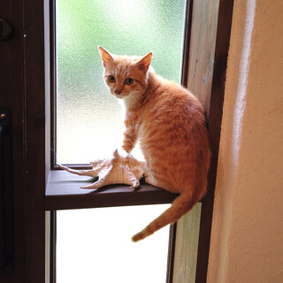 ありがとうございました！