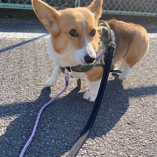 体全体で甘えてくれる可愛い女の子〜かすみちゃん♪