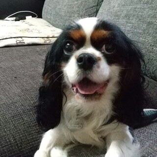 いつもニコニコ天真爛漫〜フレンドリーなアロ君