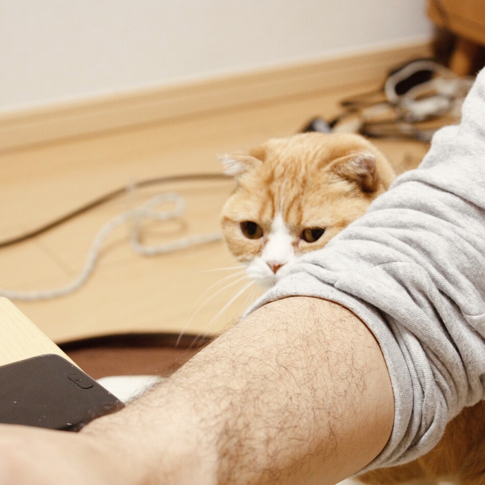 こまのカバー写真