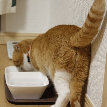 の写真