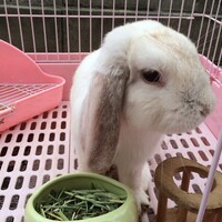 リイちゃん