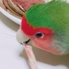 kiyop