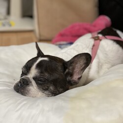 「おかえりルンルン」サムネイル2