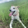 外遊び大好きくんです。