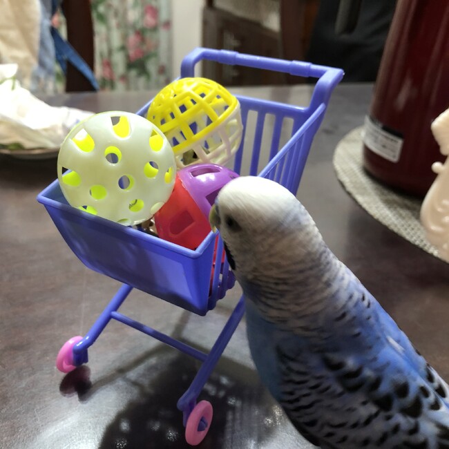 まなみzのカバー写真