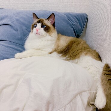 少し大きいです