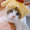 少し小さい時です。