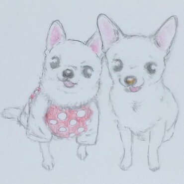 プロの方に書いてもらった　たろべとごまっちの似顔絵です。