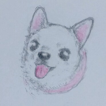 プロの方に書いてもらった　ごまっちの似顔絵です。