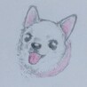 プロの方に書いてもらった　ごまっちの似顔絵です。