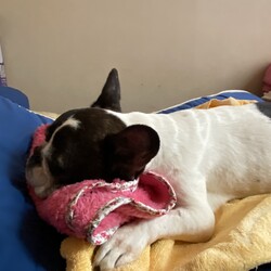 「ありがとう」サムネイル2