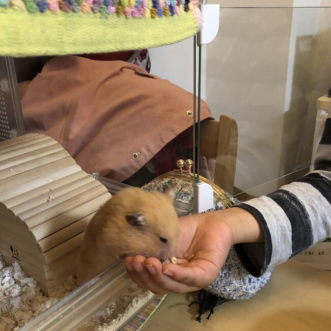 ゆーちゅんのカバー写真