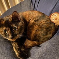 うなぎ