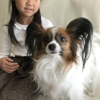 かんな