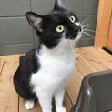 人が大好きな女の子(=^x^=)