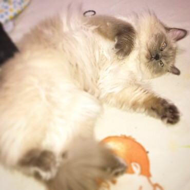 毎日　癒される〜