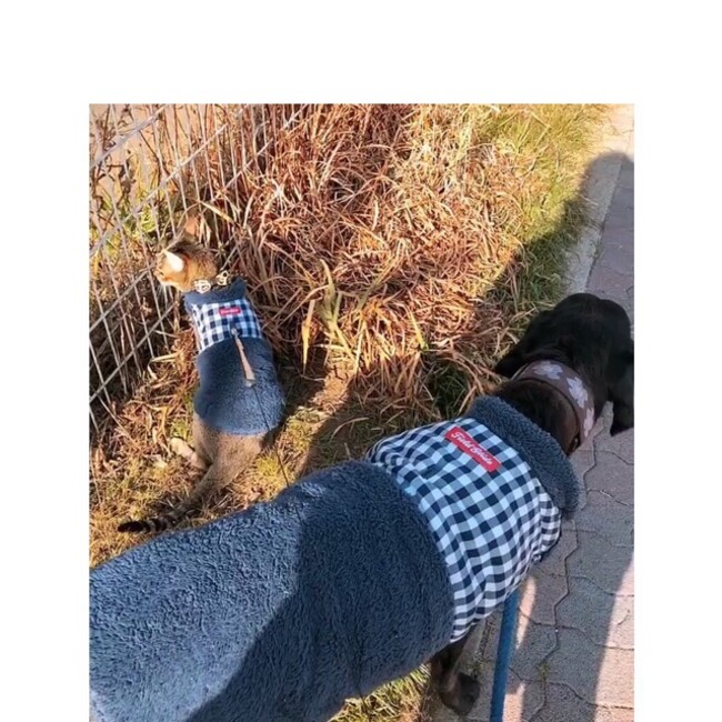 taras_apartmentのカバー写真