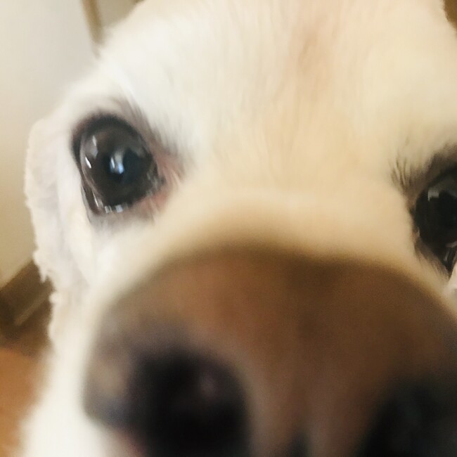 まゆゆの湯のカバー写真