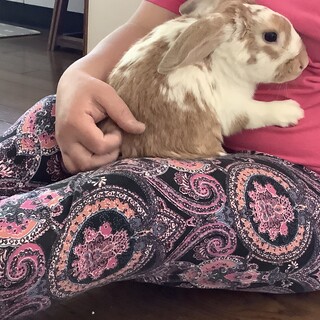 ありがとうございました