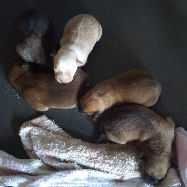 りむbabyのカバー写真