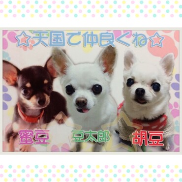 葬儀屋さんが作って下さった集合写真です。