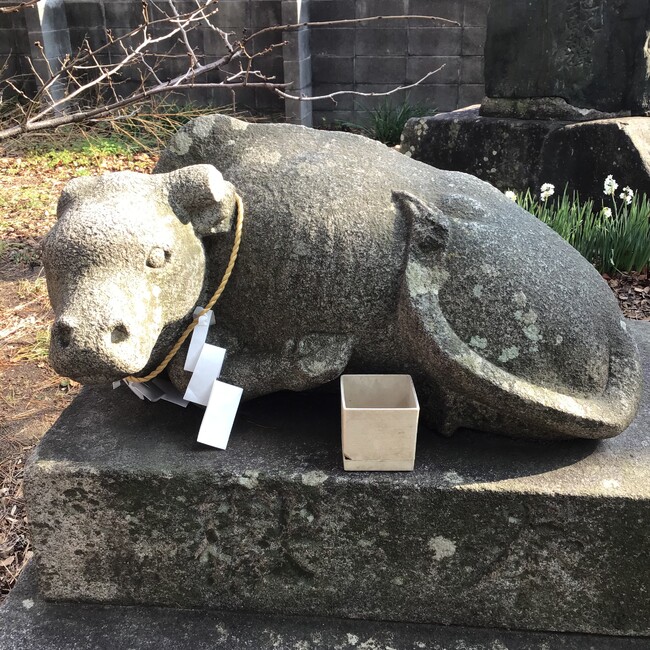 ryouzi のカバー写真
