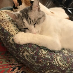 みんな元気です！