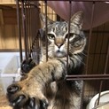 スリゴロイケメン面白男子もんちゃん