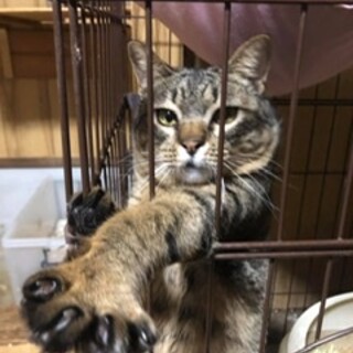 スリゴロイケメン面白男子もんちゃん