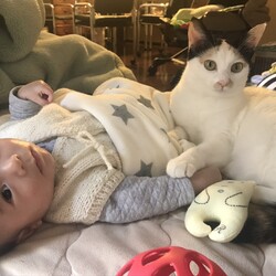 「わかめちゃんの子守」サムネイル3