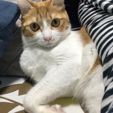 の写真