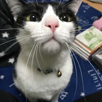 あずき