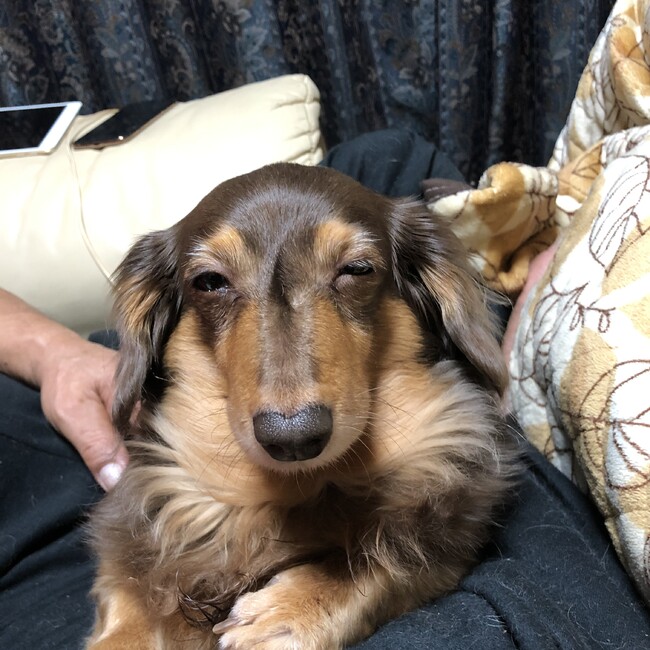 有るがままに( ◠‿◠ )のカバー写真