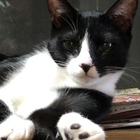 龍くん