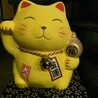 かいごん