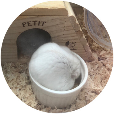 の写真