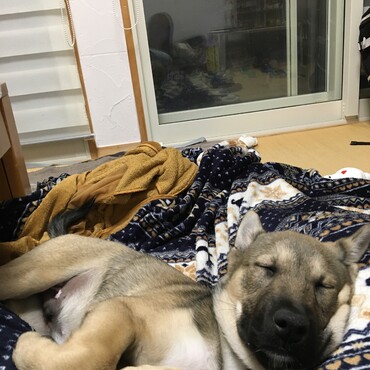 の写真