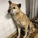 怯えて過ごしています。