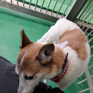 ありがとうございました。