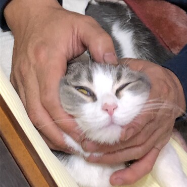 変顔