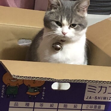 入るよね〜