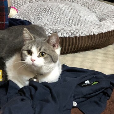 おじーの匂い