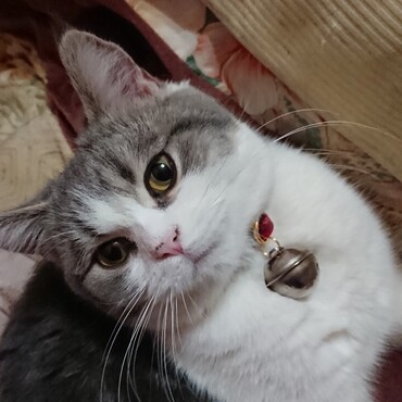 おじー骨抜き