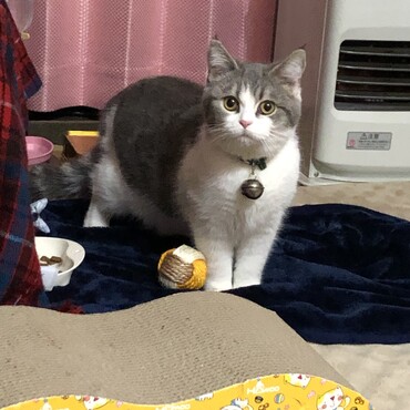 はじめの一歩