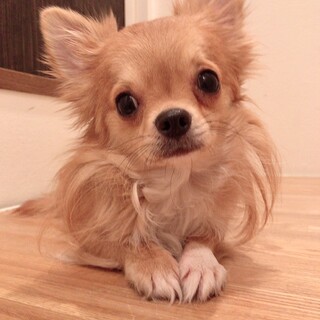 本当にありがとうございました。