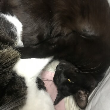 の写真